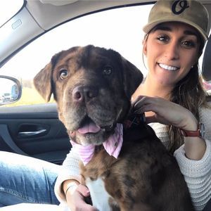 Meet your Posher, Anna